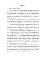 Vai trò của thông tin, tư liệu và thư viện đối với sự phát triển của khoa học xã hội Lào hiện nay