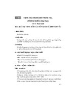 Thiết kế bài giảng Địa Lý 11 nâng cao tập 2 part 7 pps