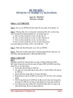 Đề thi tín dụng và nghiệp vụ ngân hàng pdf