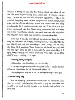 Phòng trừ sâu bệnh hại cây cảnh part 9 pptx