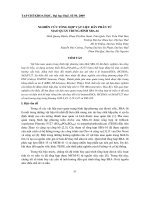 Báo cáo nghiên cứu khoa học: 