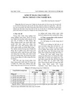 Báo cáo nghiên cứu khoa học: 