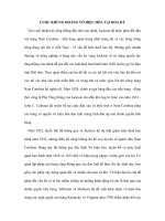 CUỘC KHỦNG HOẢNG VÔ HIỆU HÓA TẠI HOA KỲ pdf