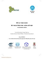 Kỹ thuật nuôi tôm - rừng kết hợp ppsx