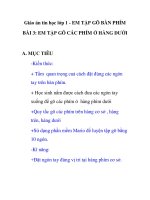 Giáo án tin học lớp 1 - EM TẬP GÕ BÀN PHÍM BÀI 3: EM TẬP GÕ CÁC PHÍM Ở HÀNG DƯỚI potx