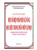 skkn một số biện pháp rèn kĩ năng đọc hiểu trong phân môn tập đọc cho học sinh lớp 51 trường tiểu học võ thị sáu cẩm mỹ - đồng nai