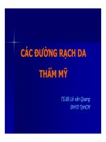 CÁC ĐƯỜNG RẠCH DA THẨM MỸ part 1 doc