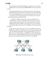Giáo trình phân tích cấu tạo trong giao thức kết tuyến theo trạng thái chuẩn IETF p3 pps
