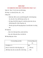 Giáo án lớp 4 môn KHOA HỌC CÁC KHOÁNG CHẤT ĐỐI VỚI ĐỜI SỐNG THỰC VẬT (tiết 2) doc