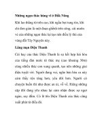 Những ngọn thác hùng vĩ ở Đắk Nông ppsx