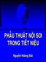 PHẪU THUẬT NỘI SOI TRONG TIẾT NIỆU ppsx