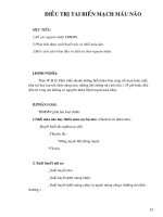 Điều trị nội khoa - ĐIỀU TRỊ TAI BIẾN MẠCH MÁU NÃO part 1 pot