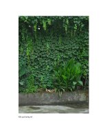 Giáo trình hướng dẫn làm một tấm thiệp hoàn chỉnh trên khuôn rectangle của photoshop phần 8 ppt