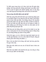 quản lí nội bộ trong công ty pdf