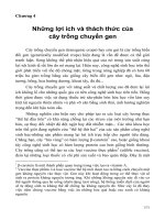 Công nghệ chuyển gene trong nông nghiệp - Chương 4 pps