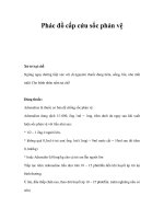 Phác đồ cấp cứu sốc phản vệ potx