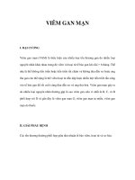 VIÊM GAN MẠN pptx