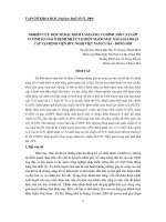 Báo cáo nghiên cứu khoa học: 