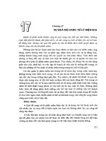 Quản lý dự án phần mềm - Chương 17 pdf