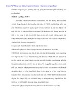 Bán hàng thương mại điện tử ở Việt Nam - 2 docx