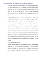 Quản lý Nhà Nước trong đầu tư trực tiếp nước ngoài vào dệt may Việt Nam - 3 pot