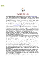 CÁC BÀI TẬP VB6 ppsx