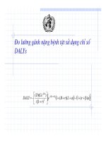 đo lường gánh nặng bệnh tật sử dụng chỉ số dalys