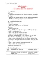 Giáo án âm nhạc lớp 3: ÔN TẬP BÀI HÁT CON CHIM NON pps