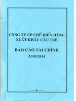 BÁO cáo tài chính 31 tháng 3 năm 2014 CÔNG TY CP CHẾ BIẾN HÀNG XUẤT KHẨU cầu TRE