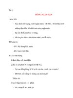 Giáo án lớp 4 môn Địa lý RỪNG NGẬP MẶN docx