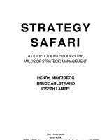 STRATEGY SAFARI a GUIDED TOUR THROUGH THE WILD OF STRATEGIC MANAGEMENT