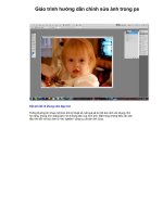 Giáo trình hướng dẫn phân tích cách tạo ảnh phông nền bằng phương pháp sử dụng bộ lọc filter Arctis p6 docx