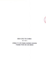 báo cáo tài chính quý 1 năm 2013 công ty cổ phần chứng khoán tp hồ chí minh