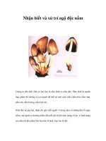 Nhận biết và xử trí ngộ độc nấm ppsx