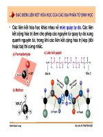 Di truyền học phân tử và tế bào : Liên kết hóa học của các đại phân tử sinh học part 3 pdf