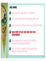 Cơ sở di truyền ung thư part 5 pdf