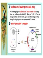 Công nghệ ADN tái tổ hợp part 6 pdf