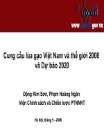 Cung cầu lúa gạo việt nam và thế giới 2008 và dự báo 2020
