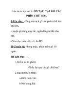 Giáo án tin học lớp 3 - ÔN TẬP: TẬP GÕ CÁC PHÍM CHỮ HOA pot