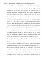 Bán hàng thương mại điện tử ở Việt Nam - 4 pot