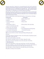 Giáo trình hướng dẫn phân tích những tế bào sợi chun ở thanh quản hệ thống tiêu hóa p2 ppt