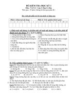 ĐỀ KIỂM TRA HỌC KỲ I Môn : VẬT LÍ potx