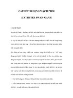 CATHETER ĐỘNG MẠCH PHỔI (CATHETER SWAN–GANZ) pot