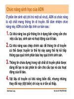 Di truyền học phân tử và tế bào : Cấu trúc, đặc tinh, chức năng của các đại phân tử sinh học part 7 ppsx