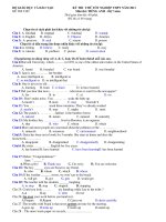 KỲ THI THỬ TỐT NGHIỆP THPT NĂM 2011 Môn thi: TIẾNG ANH pps