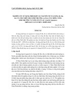 Báo cáo nghiên cứu khoa học: 