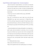 Hỗ trợ xuất khẩu thủ công mỹ nghệ sanh Nhật Bản - 5 ppt