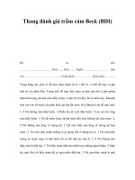 Thang đánh giá trầm cảm Beck (BDI)Họvàtên: potx