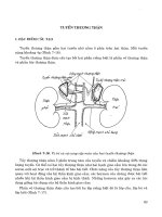 TUYẾN THƯỢNG THẬN docx