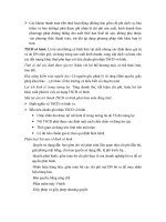 Các khoản thanh toán tiền thuê hoạt động ppsx